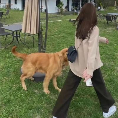 让爱自由