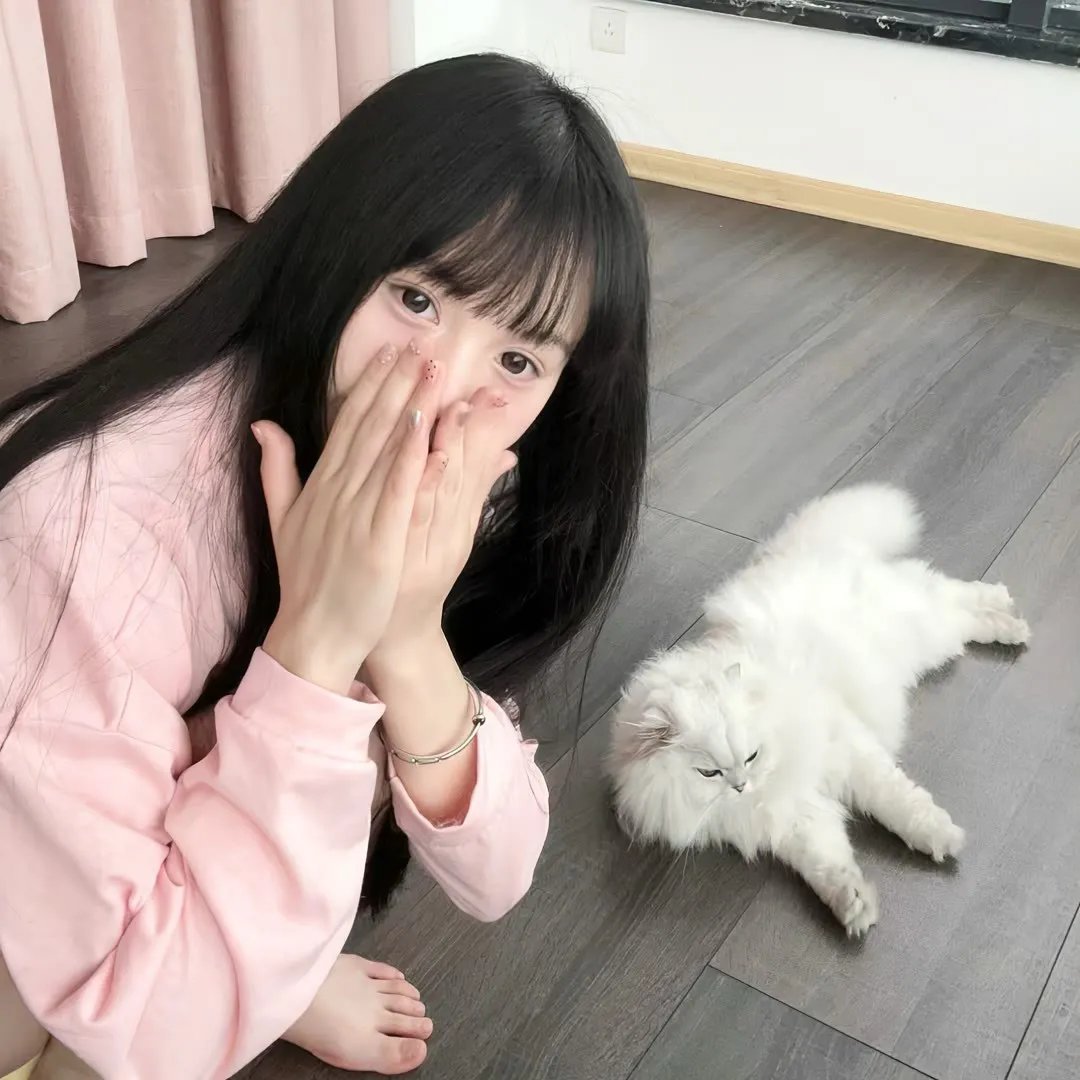 穿靴子的猫